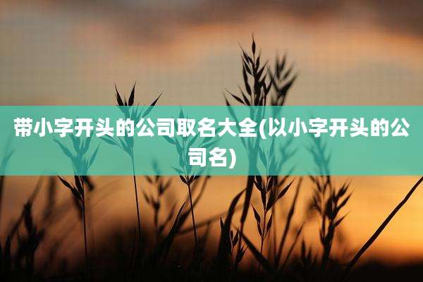 带小字开头的公司取名大全(以小字开头的公司名)