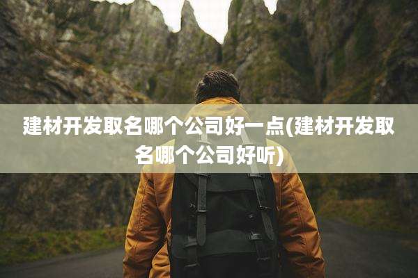 建材开发取名哪个公司好一点(建材开发取名哪个公司好听)