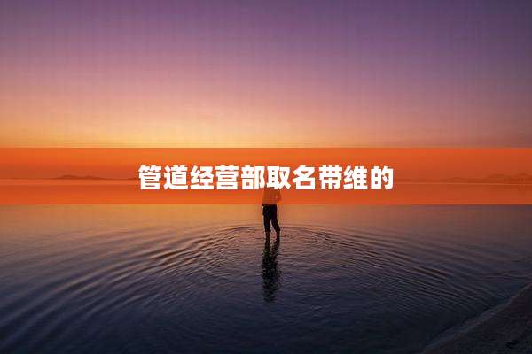 管道经营部取名带维的