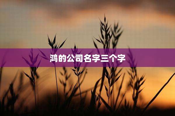 鸿的公司名字三个字