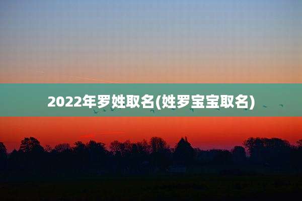 2022年罗姓取名(姓罗宝宝取名)