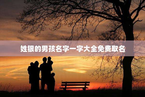 姓银的男孩名字一字大全免费取名