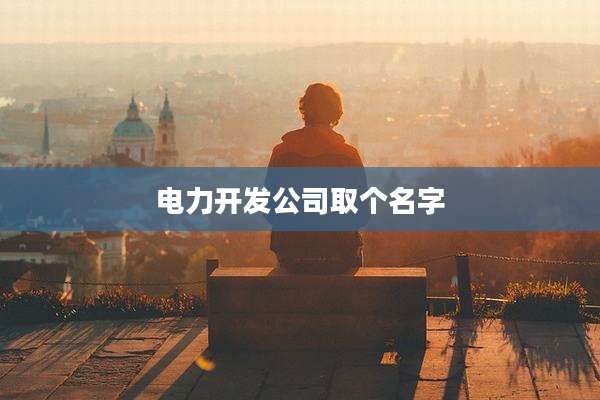电力开发公司取个名字