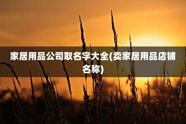 家居用品公司取名字大全(卖家居用品店铺名称)