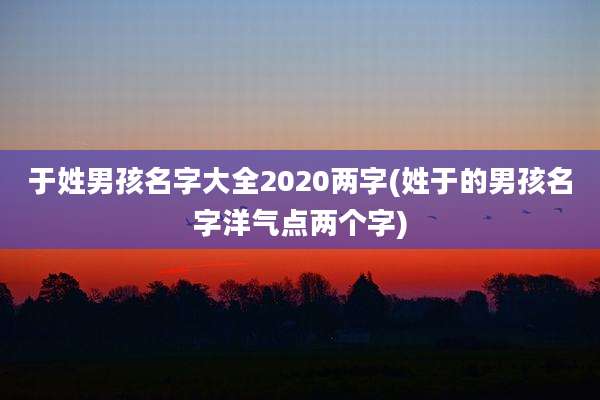 于姓男孩名字大全2020两字(姓于的男孩名字洋气点两个字)