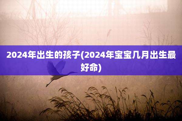 2024年出生的孩子(2024年宝宝几月出生最好命)