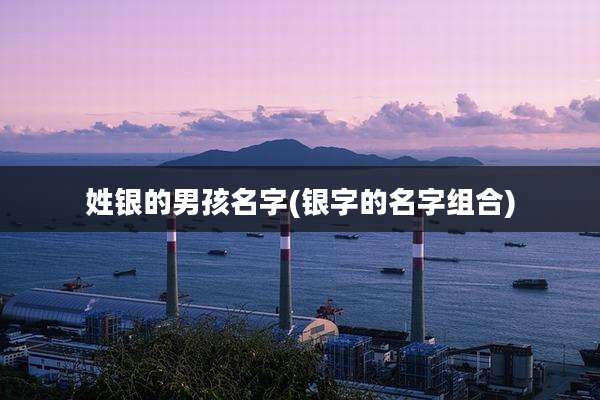姓银的男孩名字(银字的名字组合)