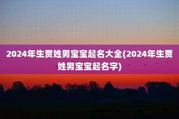 2024年生贾姓男宝宝起名大全(2024年生贾姓男宝宝起名字)