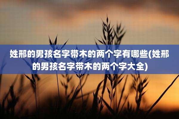 姓邢的男孩名字带木的两个字有哪些(姓邢的男孩名字带木的两个字大全)