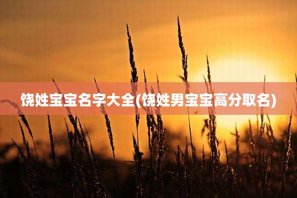 饶姓宝宝名字大全(饶姓男宝宝高分取名)