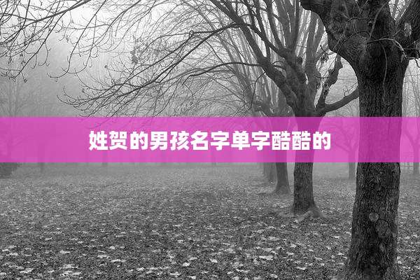 姓贺的男孩名字单字酷酷的