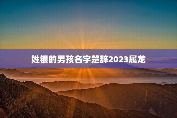 姓银的男孩名字楚辞2023属龙