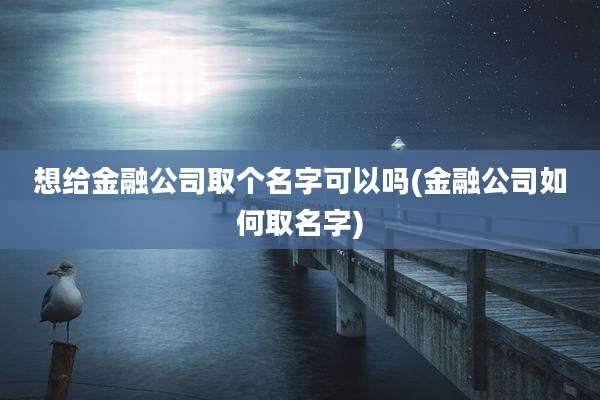 想给金融公司取个名字可以吗(金融公司如何取名字)