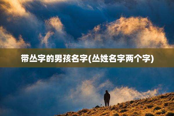 带丛字的男孩名字(丛姓名字两个字)