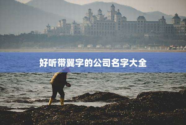 好听带翼字的公司名字大全