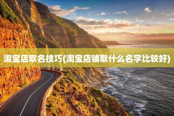 淘宝店取名技巧(淘宝店铺取什么名字比较好)