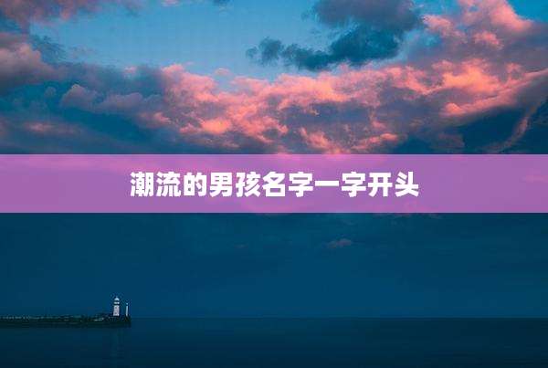 潮流的男孩名字一字开头
