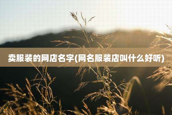 卖服装的网店名字(网名服装店叫什么好听)