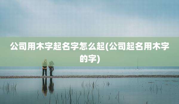 公司用木字起名字怎么起(公司起名用木字的字)