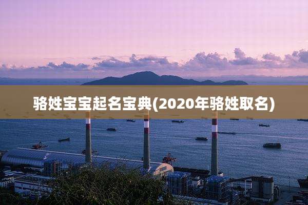 骆姓宝宝起名宝典(2020年骆姓取名)