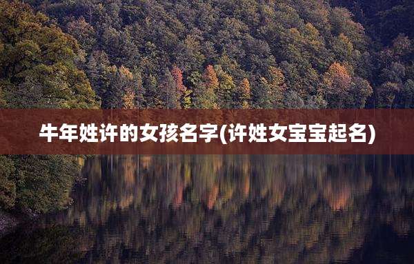 牛年姓许的女孩名字(许姓女宝宝起名)