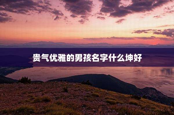 贵气优雅的男孩名字什么坤好