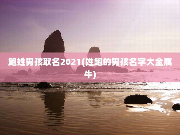鲍姓男孩取名2021(姓鲍的男孩名字大全属牛)