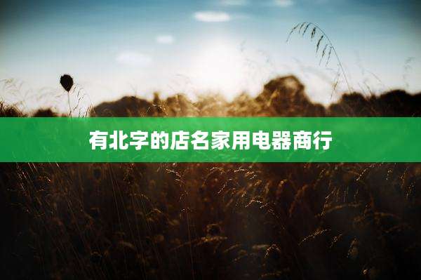 有北字的店名家用电器商行