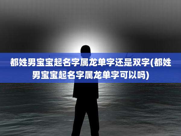 都姓男宝宝起名字属龙单字还是双字(都姓男宝宝起名字属龙单字可以吗)
