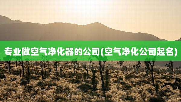 专业做空气净化器的公司(空气净化公司起名)