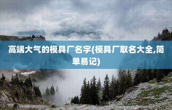 高端大气的模具厂名字(模具厂取名大全,简单易记)