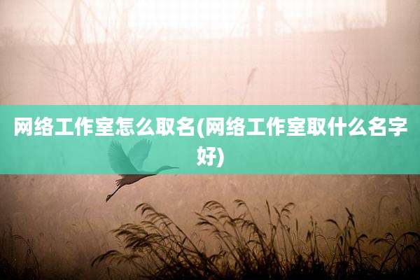 网络工作室怎么取名(网络工作室取什么名字好)