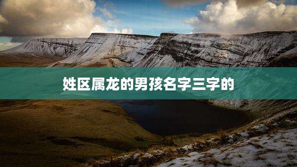 姓区属龙的男孩名字三字的