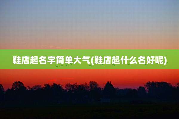 鞋店起名字简单大气(鞋店起什么名好呢)