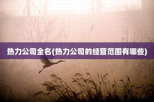 热力公司全名(热力公司的经营范围有哪些)