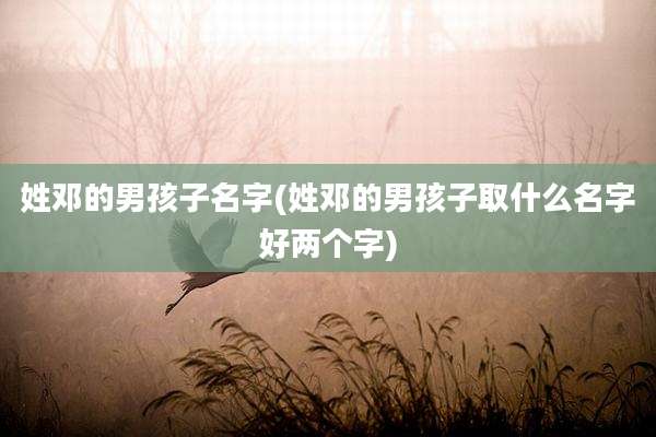 姓邓的男孩子名字(姓邓的男孩子取什么名字好两个字)