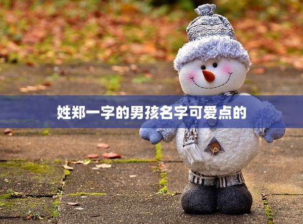 姓郑一字的男孩名字可爱点的