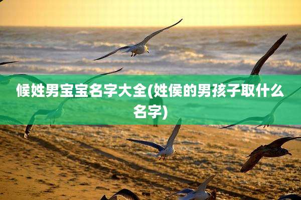 候姓男宝宝名字大全(姓侯的男孩子取什么名字)