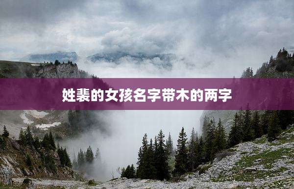 姓裴的女孩名字带木的两字