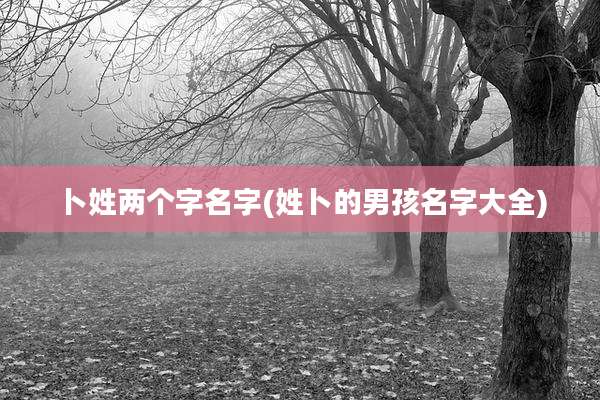 卜姓两个字名字(姓卜的男孩名字大全)