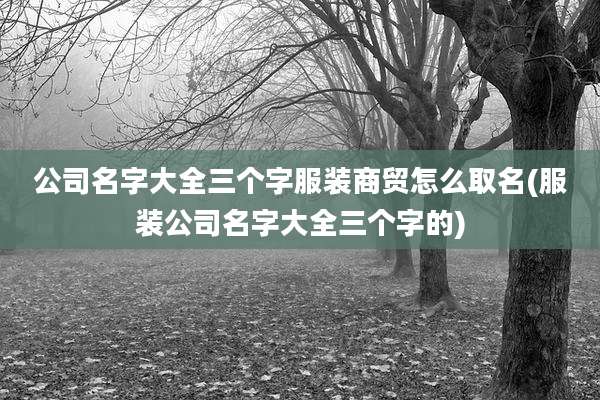 公司名字大全三个字服装商贸怎么取名(服装公司名字大全三个字的)