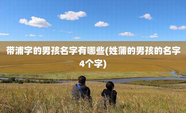 带浦字的男孩名字有哪些(姓蒲的男孩的名字4个字)