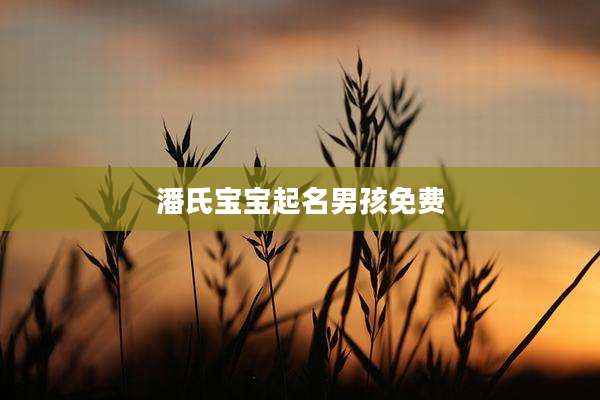 潘氏宝宝起名男孩免费