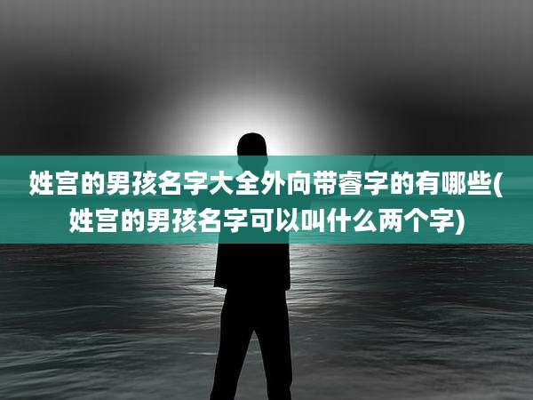 姓宫的男孩名字大全外向带睿字的有哪些(姓宫的男孩名字可以叫什么两个字)