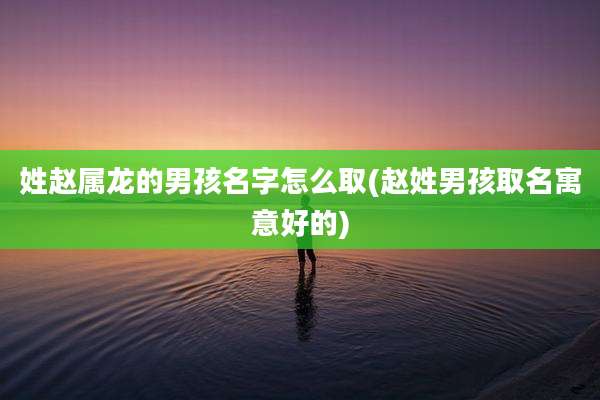 姓赵属龙的男孩名字怎么取(赵姓男孩取名寓意好的)