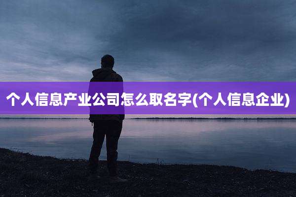 个人信息产业公司怎么取名字(个人信息企业)