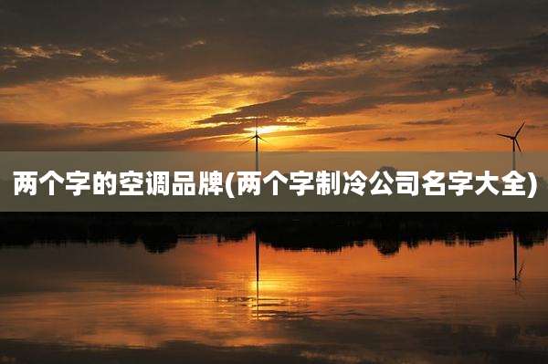 两个字的空调品牌(两个字制冷公司名字大全)