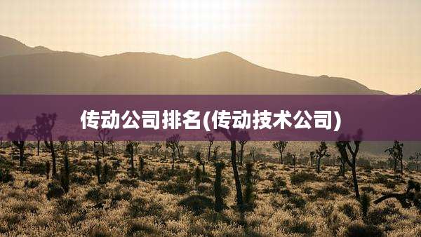 传动公司排名(传动技术公司)