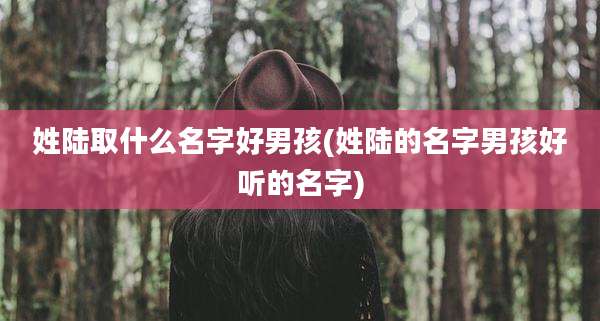 姓陆取什么名字好男孩(姓陆的名字男孩好听的名字)