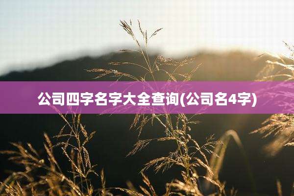 公司四字名字大全查询(公司名4字)